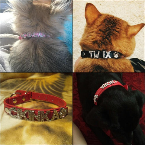 COLLAR DE DIAMANTES PERSONALIZADO PARA PERRO Y GATO Gabo y Gordo Pet Shop en Las Palmas de Gran Canaria tienda para mascotas, perros, gatos, conejos, tortugas, animales, accesorios para mascotas