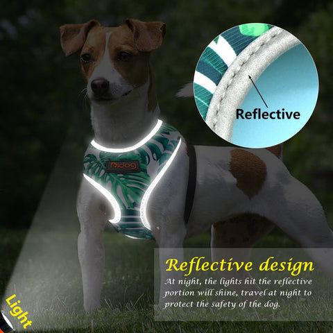 Reflective Tropical Harness FOR DOG AND CAT Gabo y Gordo Pet Shop in Las Palmas de Gran Canaria store for pets, dogs, cats, rabbits, turtles, animals, pet accessories