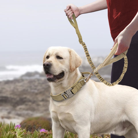 TACTICAL COLLAR WITH LEASH K9 Gabo y Gordo Pet Shop in Las Palmas de Gran Canaria store for pets, dogs, cats, rabbits, turtles, animals, pet accessories