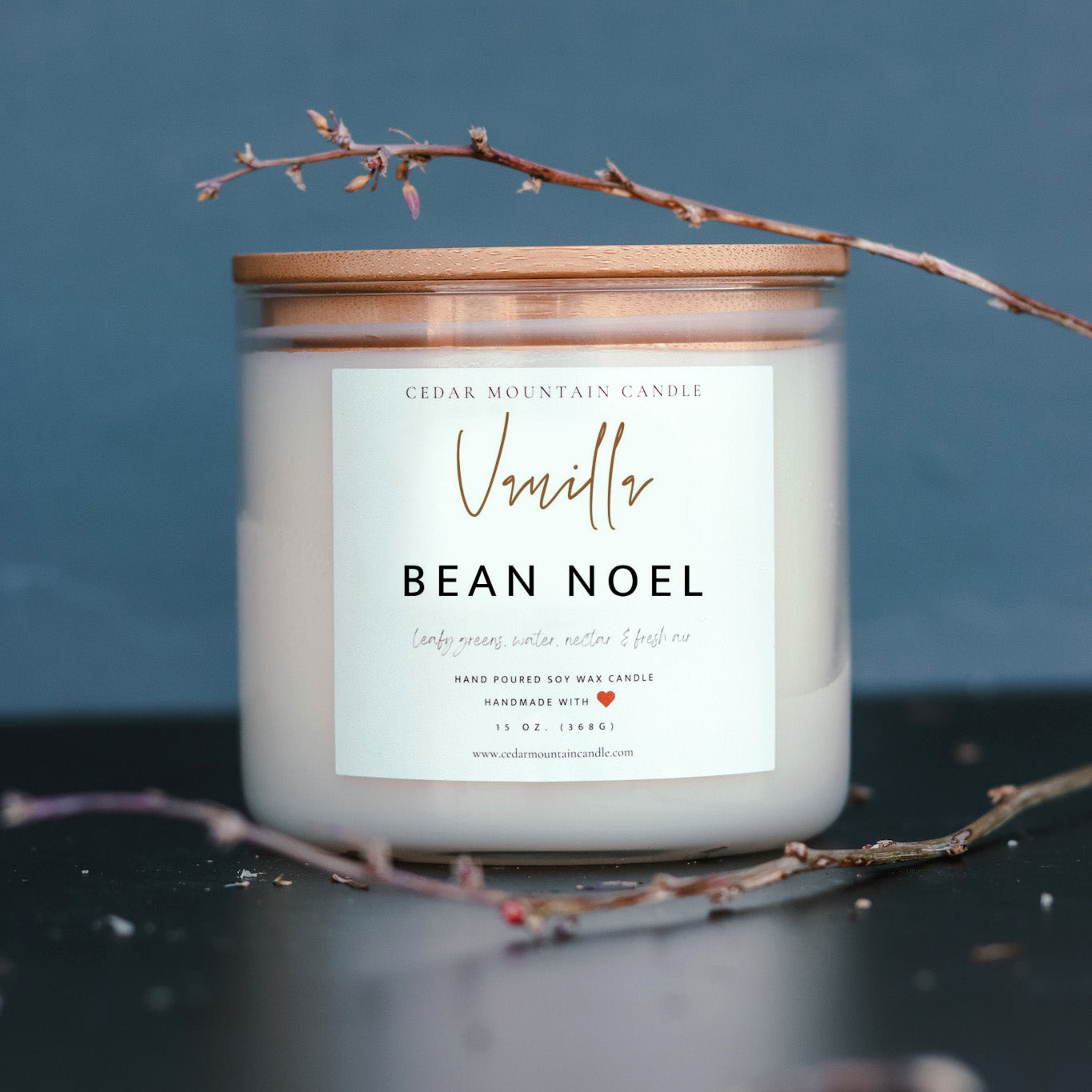 Vanilla Bean Noel - 3 Wick Jar Candle