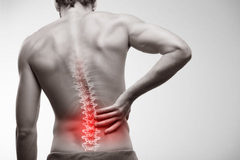 back pain highlighted on man showing spine