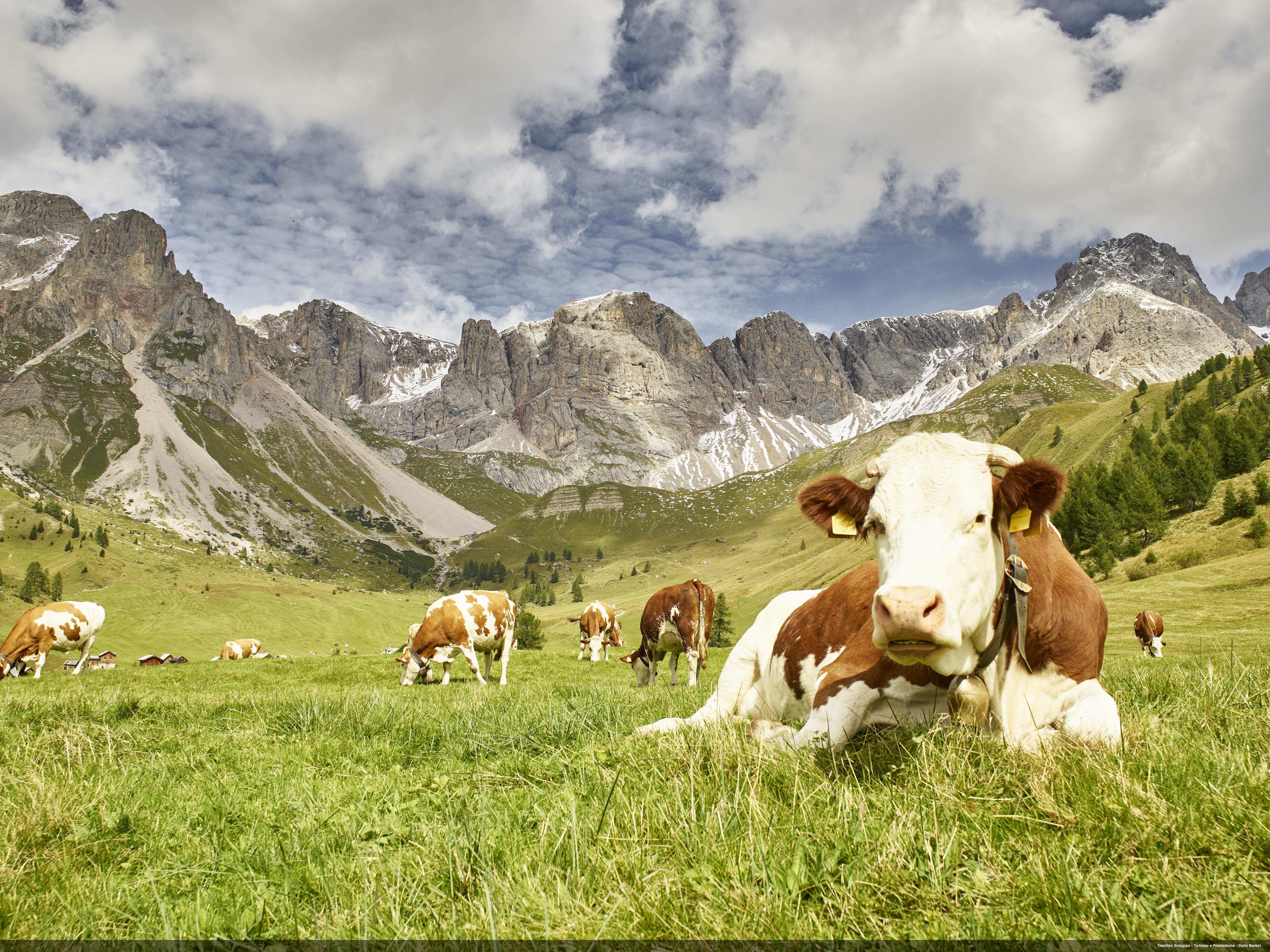 Trekking A Fuciade Intrentino