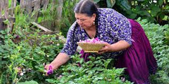 Woman gathering medicinal plants from a garden