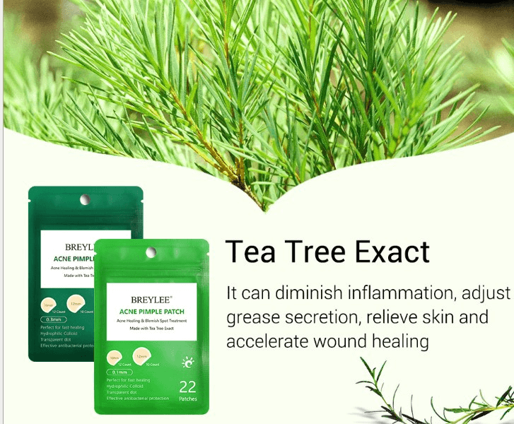 Is Tea Tree Oil Good For Acne