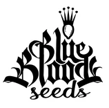 Blue Blood Seeds Shop