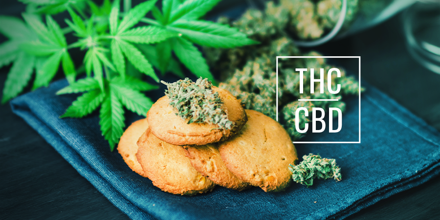 La différence entre chanvre CBD et cannabis CBD
