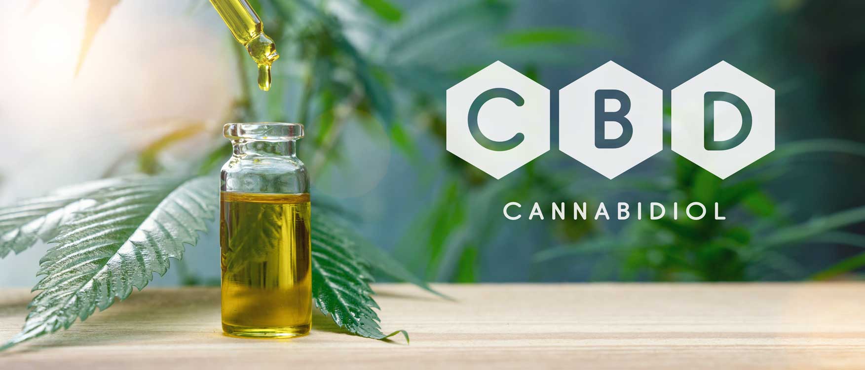 Huile de Cannabis thérapeutique, un complément alimentaire idéal. En procurant un sentiment de bien-être et de détente, le CBD aide à lutter contre le stress et l’anxiété