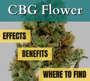 cbg flower