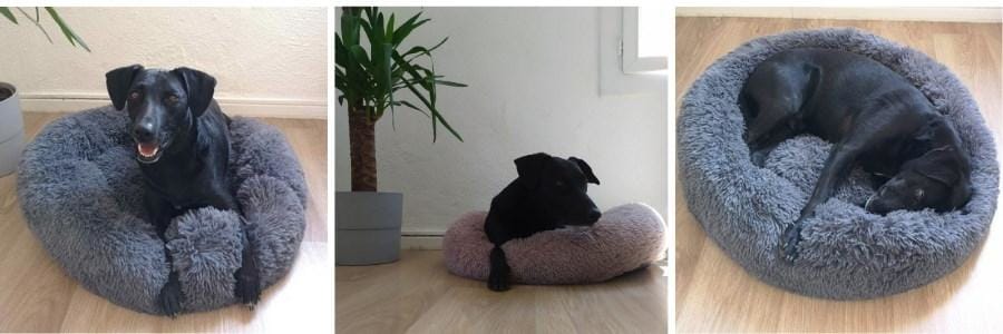 Coussin Apaisant Comfy Bed: Chien & Chat