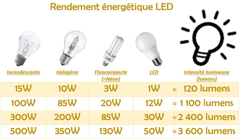 Projecteur extérieur LED puissance blanc chaud aluminium