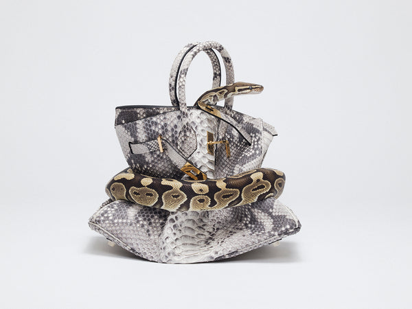 Celebrity photographer Tyler Shields Feeds $100,000 Crocodile Skin Hermes  Birkin Bag to an Alligator - Photography Blog Tips - ISO 1200 Magazine