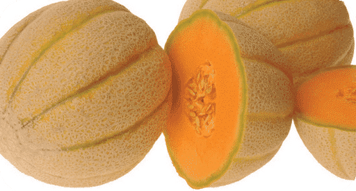 Melon Earli Dew F1 Seed, Size: 25 Seeds