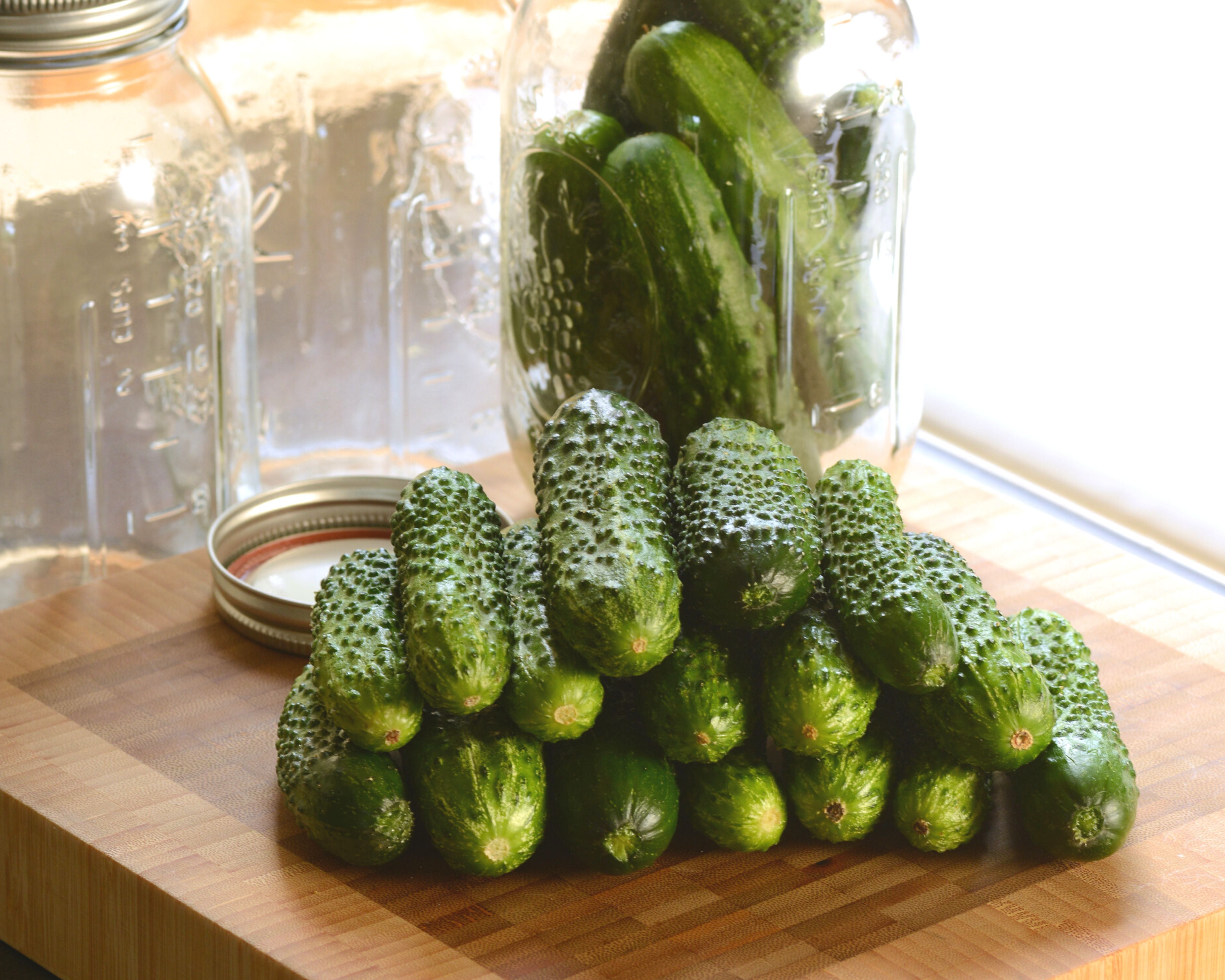 Bulk: Gherking Hybrid Cucumber Seeds
