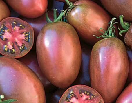 Brandywine Sudduth's Strain Tomato Seeds 