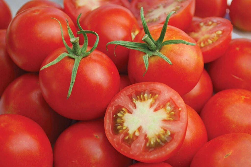 Почему помидоры красные. Плод томата. Помидор это ягода. Томат это ягода. Томат ягодный коктейль.