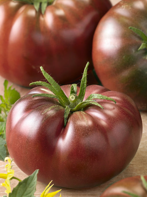 Tomato Seeds - Chef's Choice Pink F1 - Packet, Vegetable Seeds, Eden Brothers