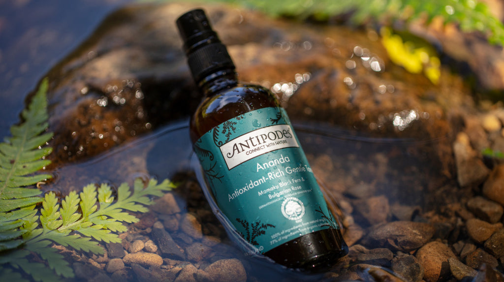 Ananda Antioxidant-Rich Gentle Toner