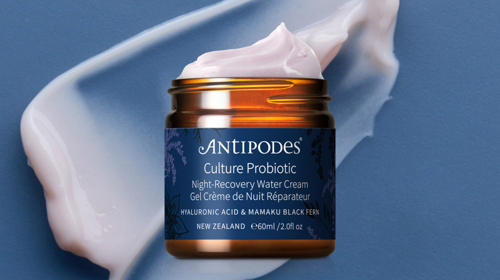 Culture Probiotic Night Recovery Water Cream