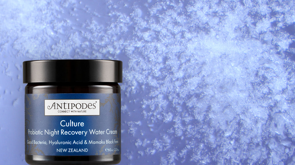 Culture Probiotic Night Recovery Water Cream