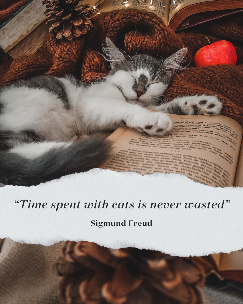 Cat Quote Freud
