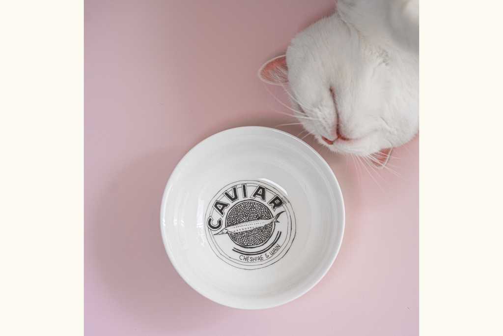 Bone china cat bowl