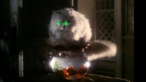 Top 10 Halloween Movies for Scaredy-Cats