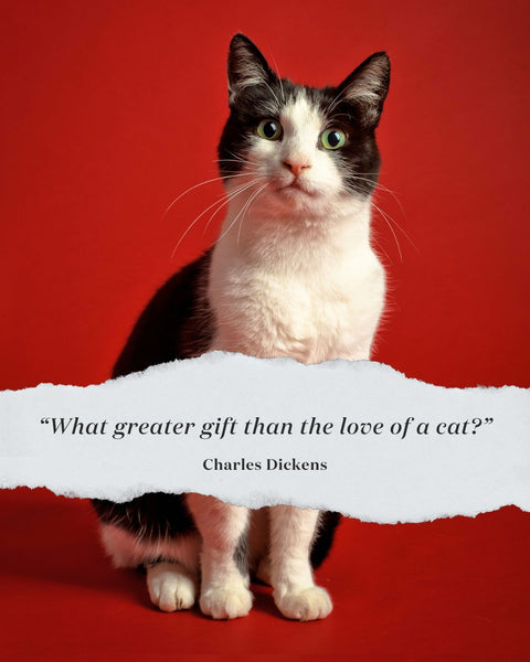 Charles Dickens Quote about Cats