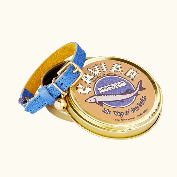 Cheshire & Wain  Cat Collars - Buy Breakaway Safety Collars Online – Tagged  Caviar