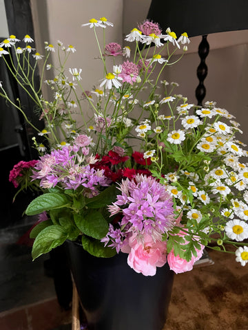 wild english flowers in a bucket