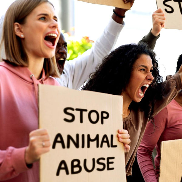 Women protesting about animal abuse illustrating a feature on whether vegans should buy secondhand animal products