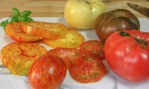 tomato tarts cute snack recipes