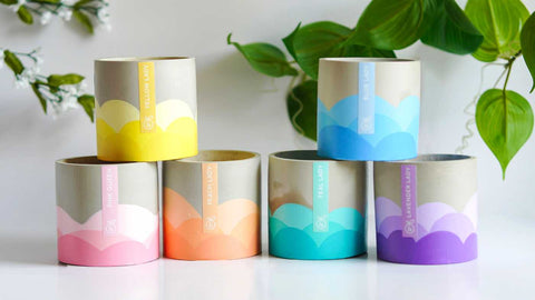 Belles of Mobile Citrus & Cane Candles