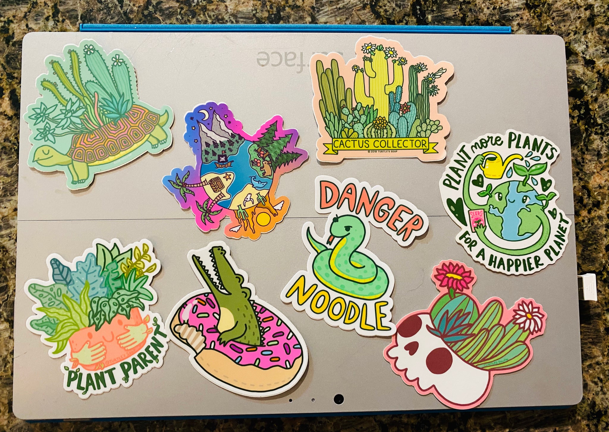 Succulent Plant Stickers – Little Star Homemade Essentials