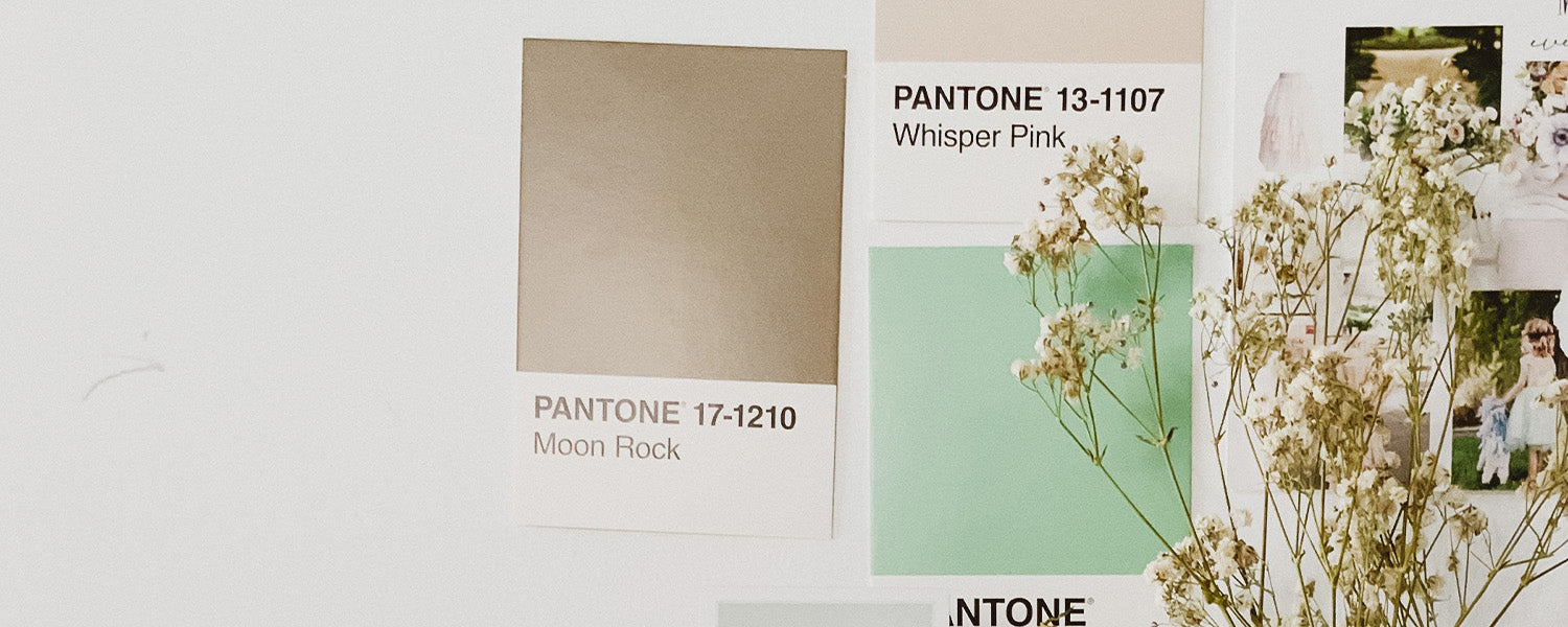 Pantone cards on wall for mood board creation