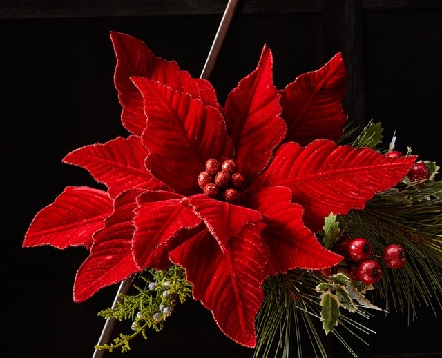 Melrose Red Velvet Poinsetta Christmas Decor