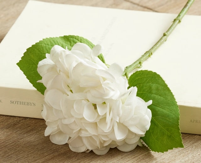 Raz Imports Christmas Decor Natural White Silk Hydrangea For Tree Decorating