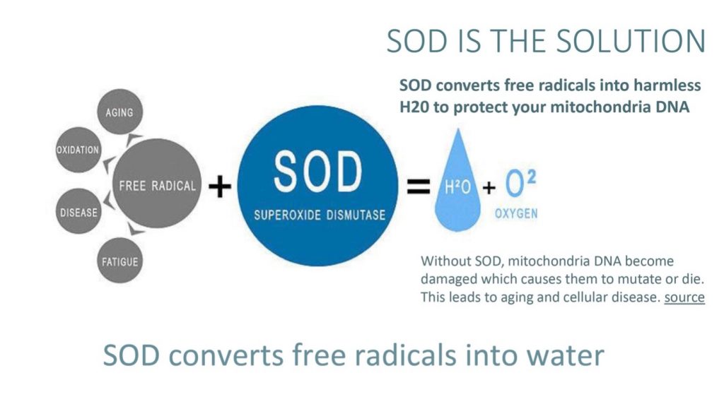 SOD solution for mitochondrial health. 