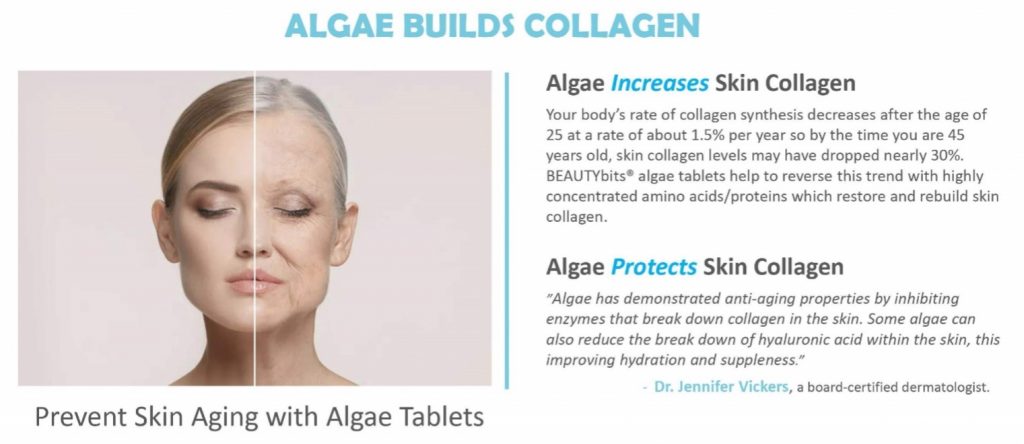 algae builds collagen chart. Algae increases skin collagen and algae protects skin collagen 