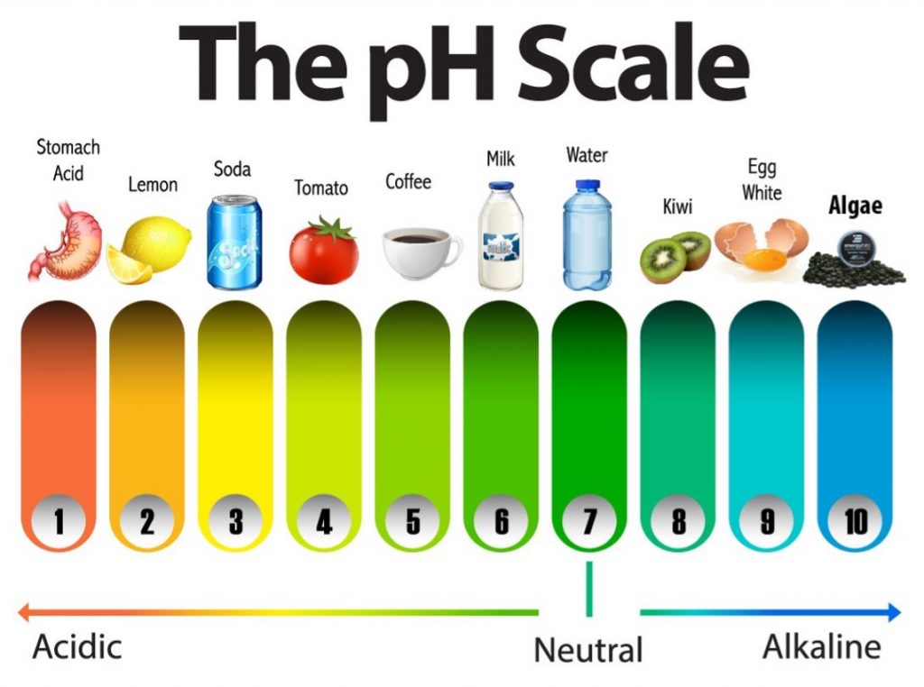pH scale comparing different foods acidic to alkaline 