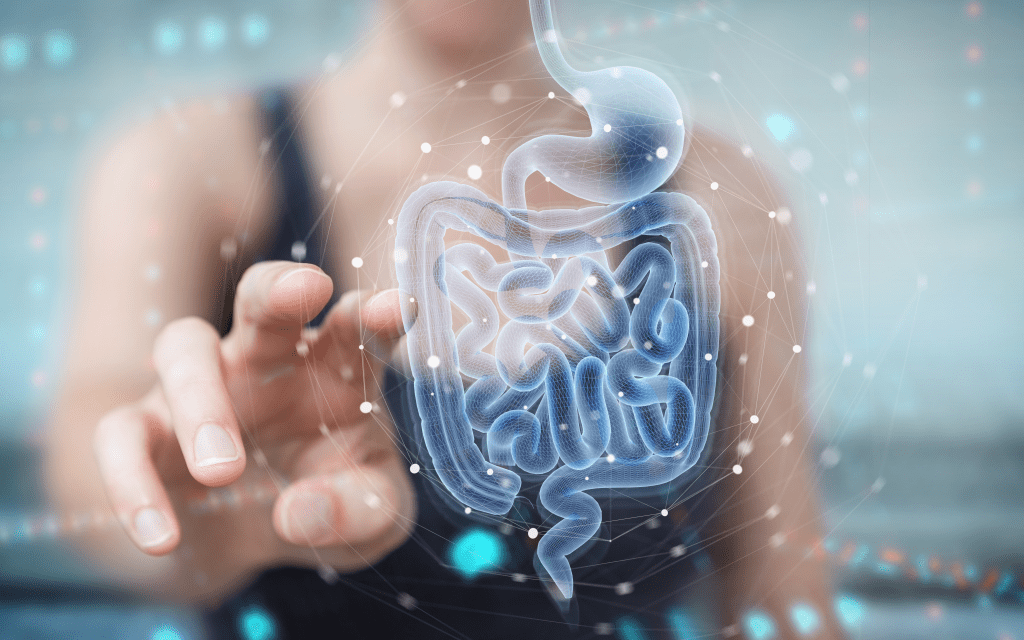 Hologram of digestive system with woman reaching out to touch it 