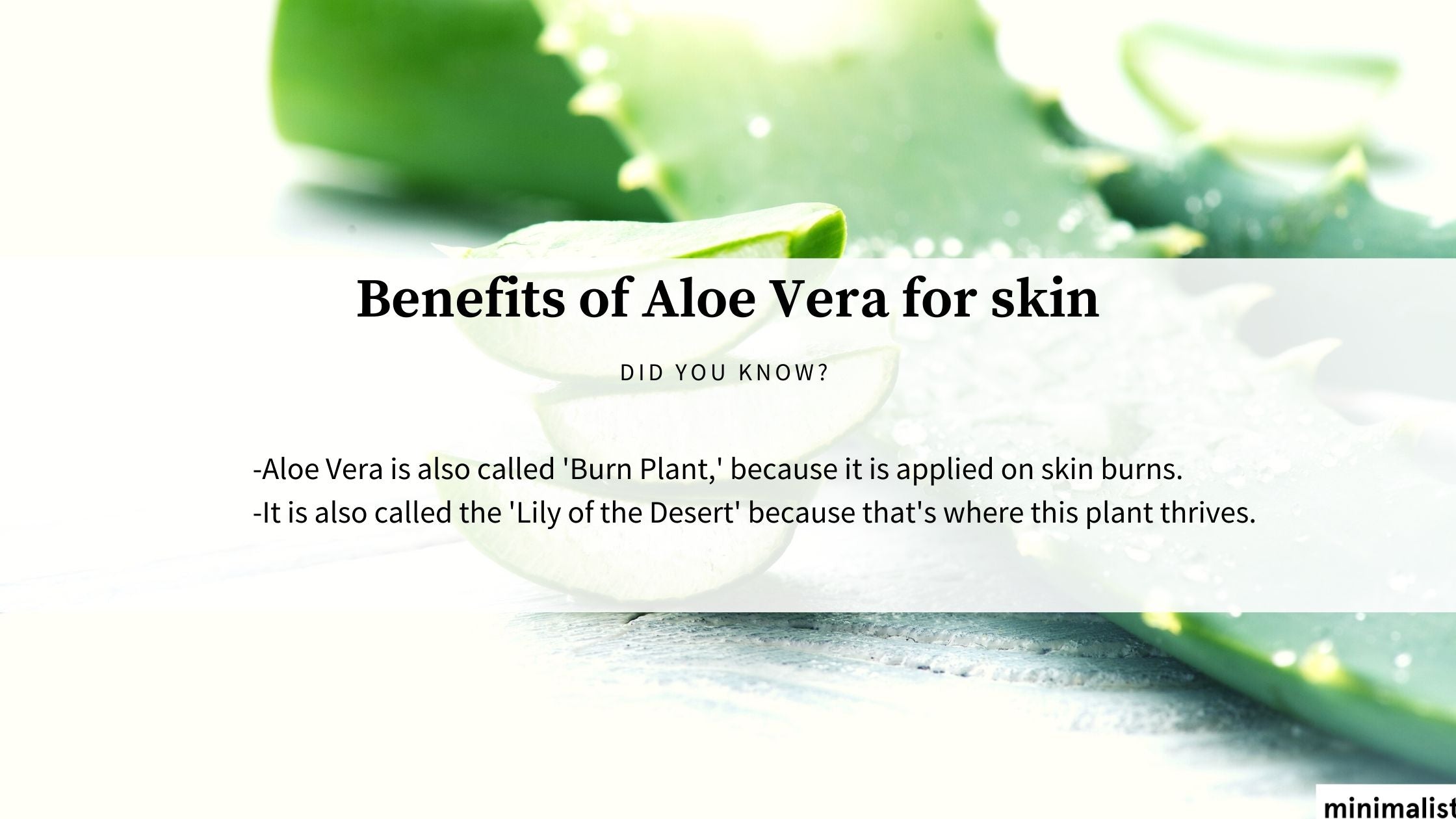 Aloe Vera Skin Care
