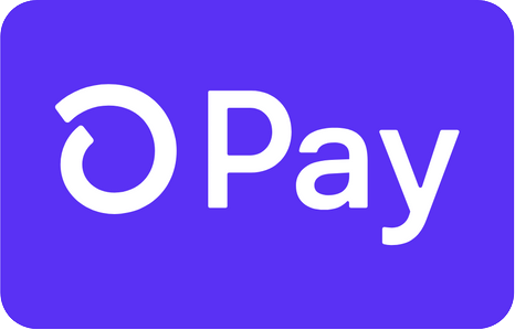 Shopify Payment