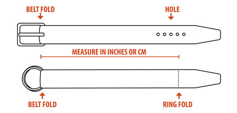 How to Measure your belt size with a buckle belt or Martingale Ring Belt Image