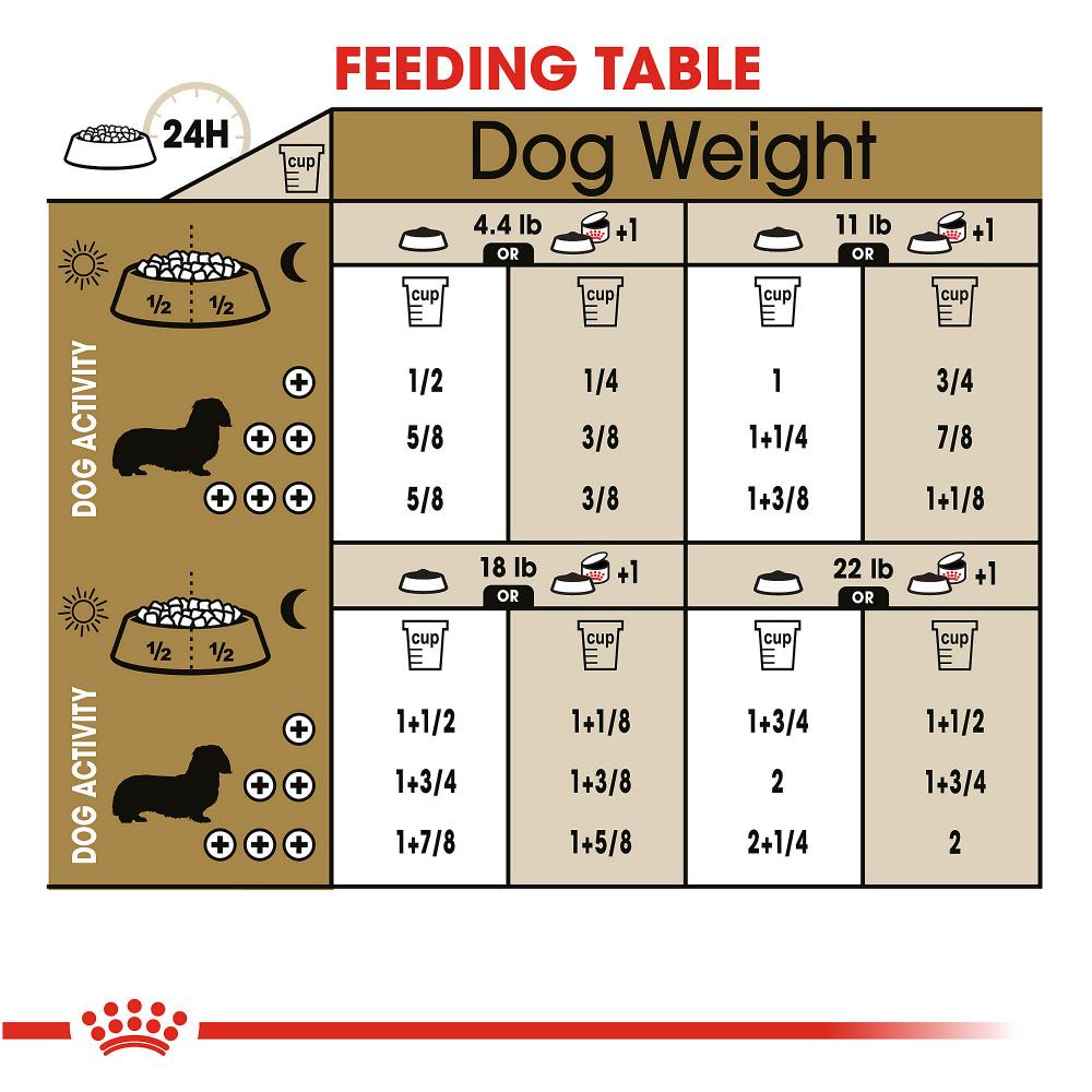 Royal Canin Breed Health Nutrition Dachshund Adult Dry Dog Food in