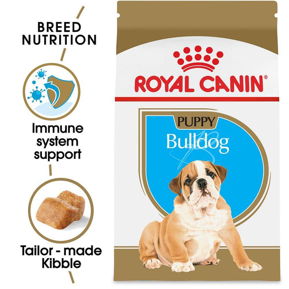 how much should an english bulldog puppy eat