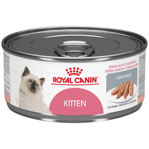 ROYAL CANIN LATA RECOVERY GATO Y PERRO