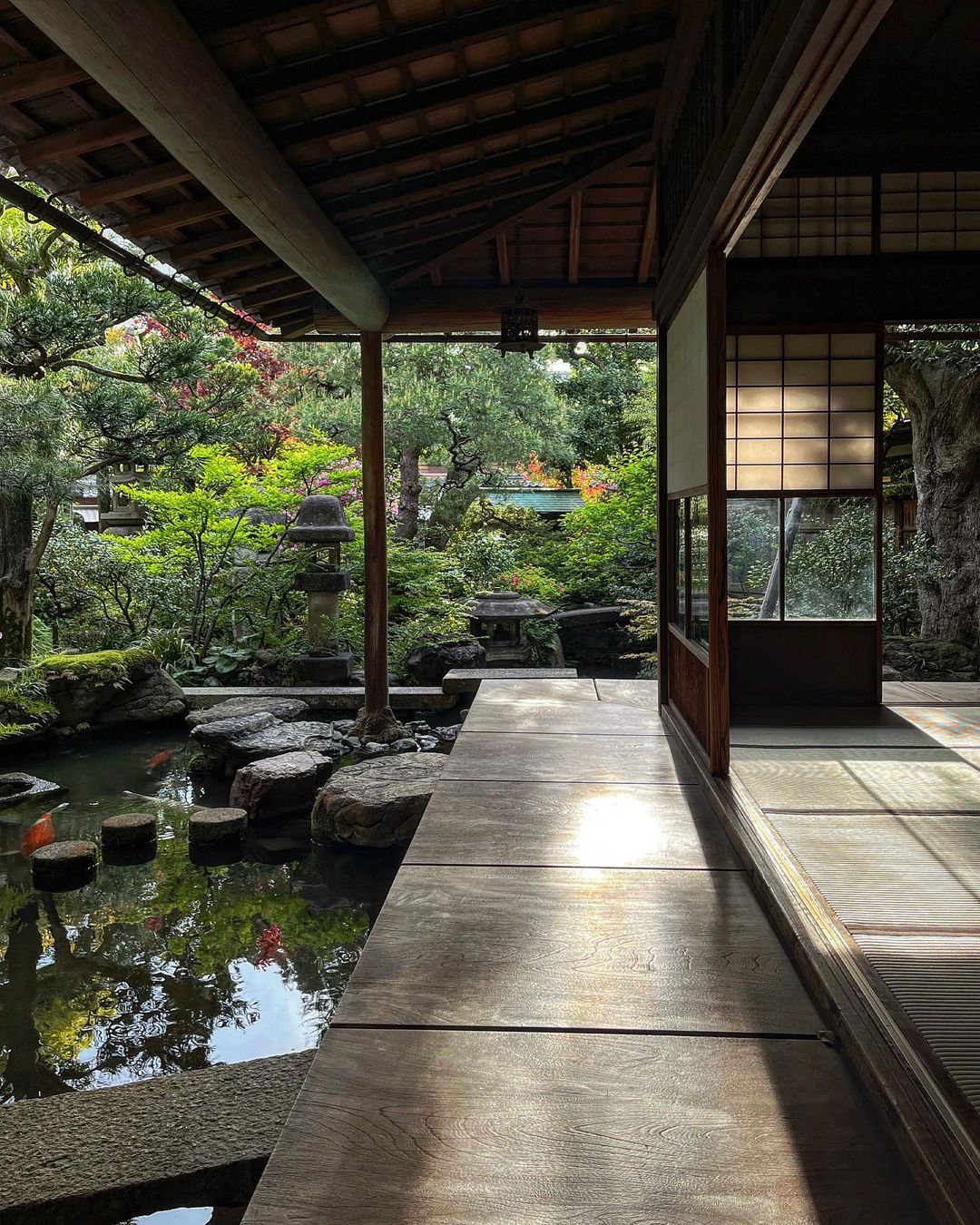 Five Plants to Create a Zen Atmosphere in Your Garden