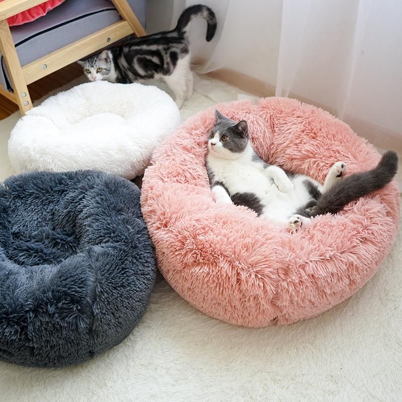 washable pet bed