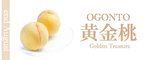 Ogonto Golden Peach