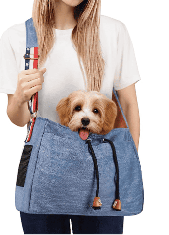 Dog Carrier